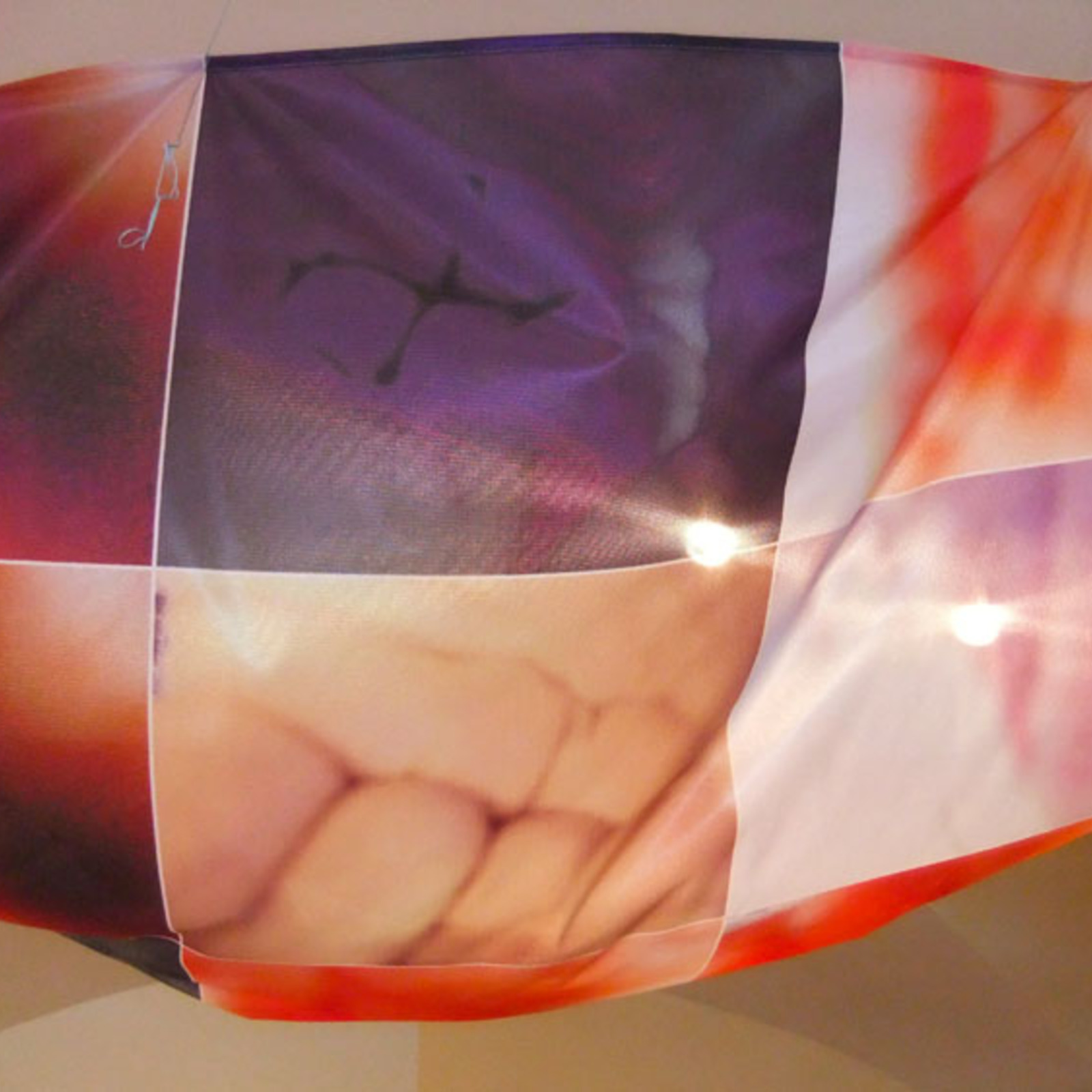 https://lynnbook.s3.amazonaws.com/flat_media/Organomics_2011_Sloven-Artstays_soundinstall_photo05.jpg