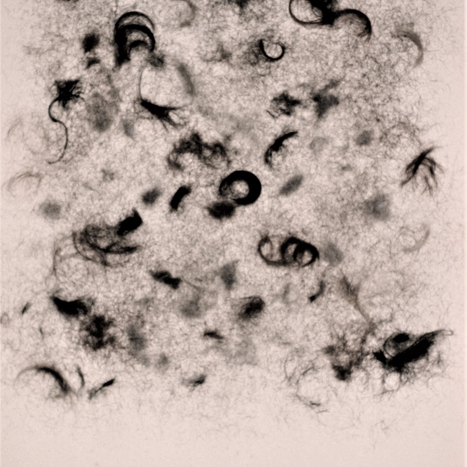 Hairpiece, 1980, Memphis, Memphis College of Art, exhibition installation, drawing 05