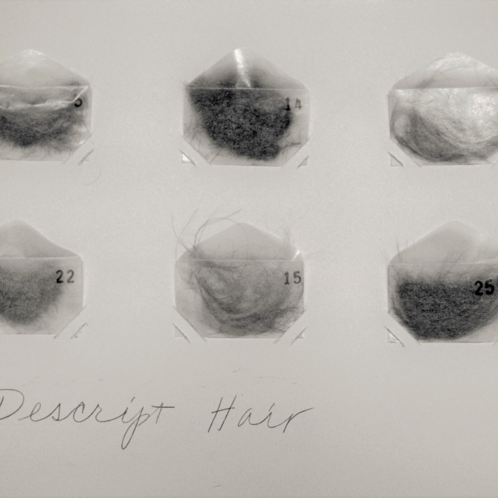 Hairpiece, 1980, Memphis, Memphis College of Art, exhibition installation, drawing 02