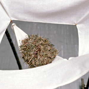 https://lynnbook.s3.amazonaws.com/flat_media/EarlyWorks_Sculpture_BoundtoFall_photoslide04.jpg