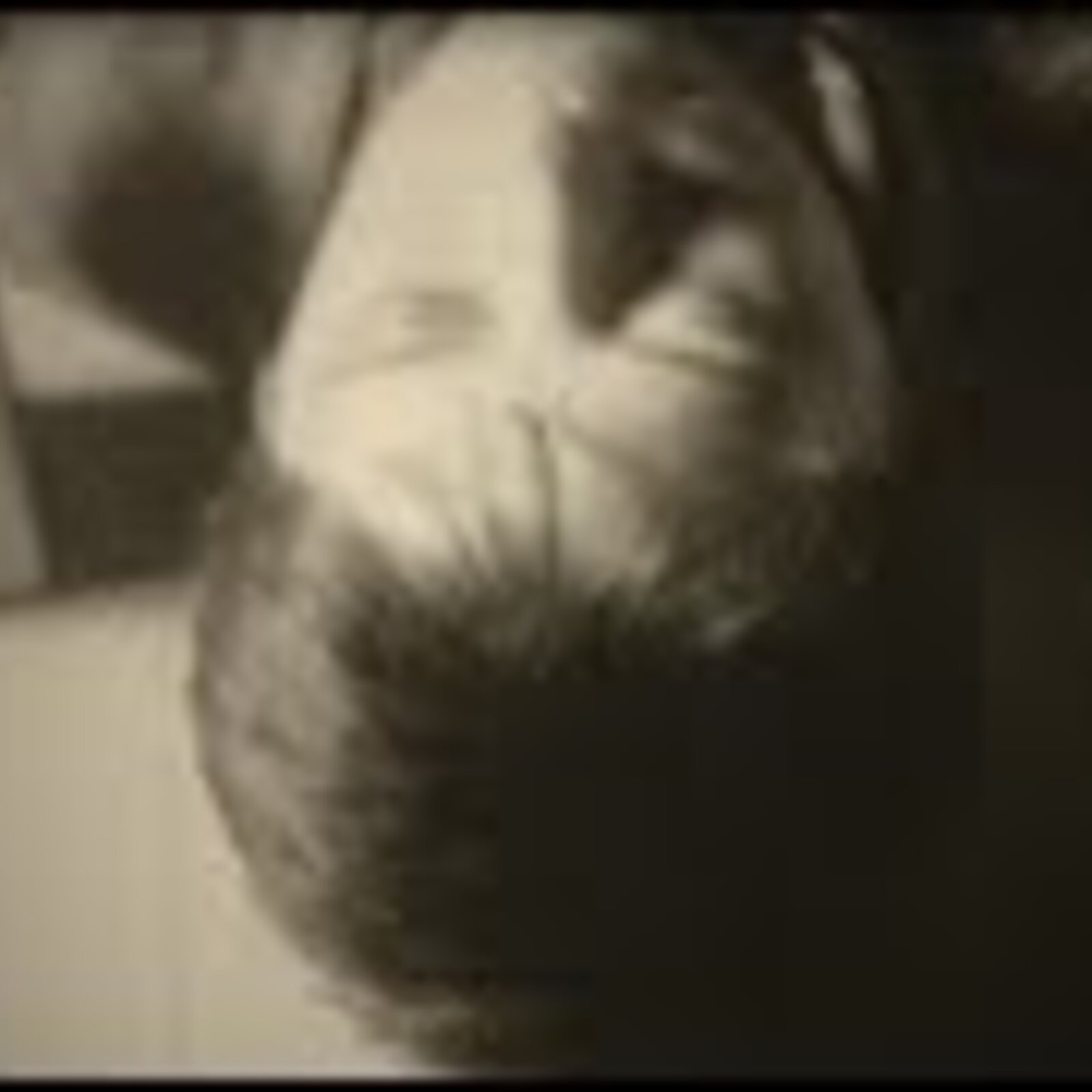 Building Blocks, 1981, Black and White and in Between, Memphis, film for performance