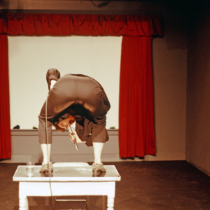 https://lynnbook.s3.amazonaws.com/flat_media/PhyVis_1990_Chgo_OrgTheater_photoslide55.jpg