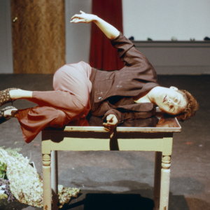 https://lynnbook.s3.amazonaws.com/flat_media/PhyVis_1990_Chgo_OrgTheater_photoslide36.jpg
