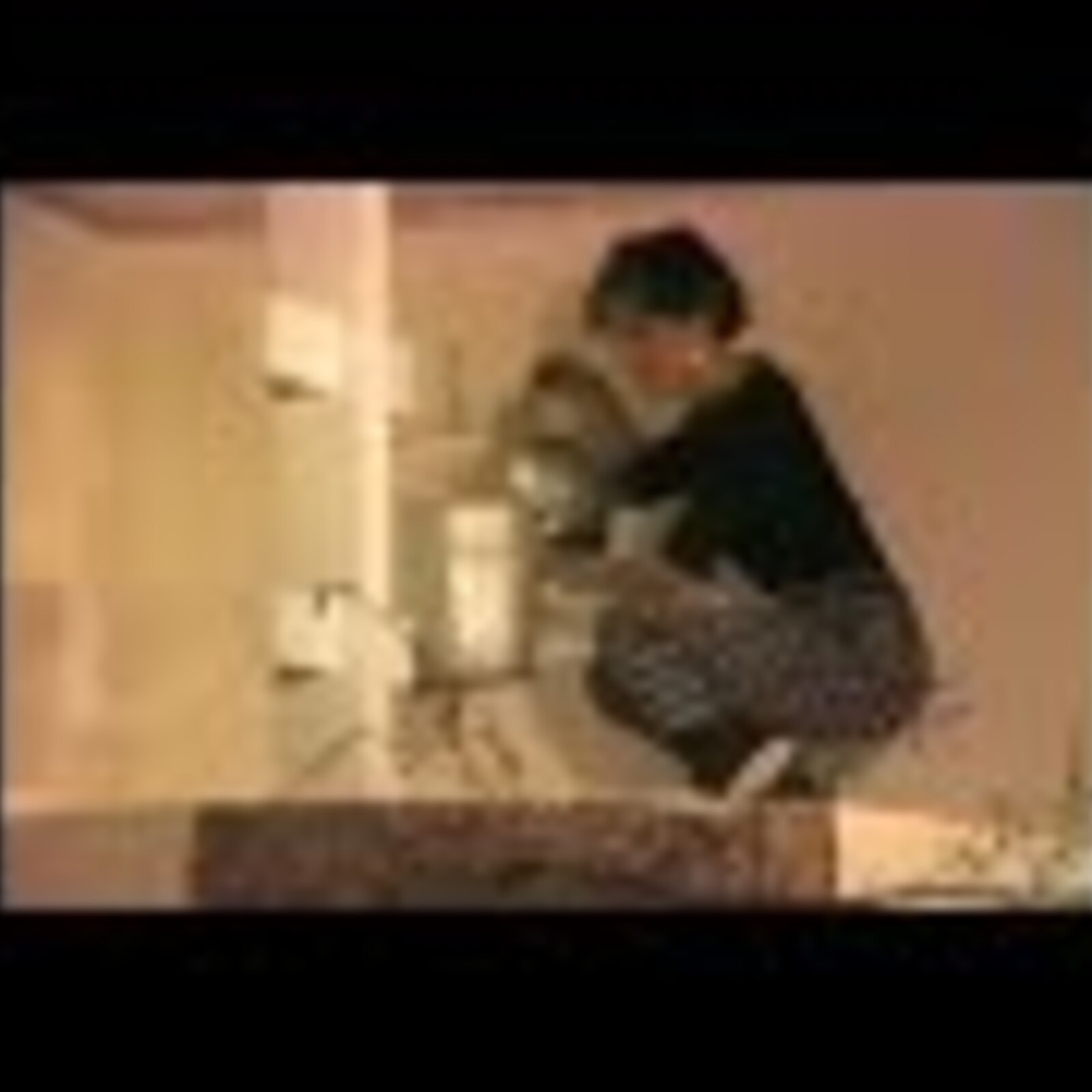 Every Now and Again, 1985 Chicago, School of the Art Institute Gallery, project video documentation