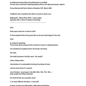 notes on desire, 2003-2006, concert performance, performance text, blink