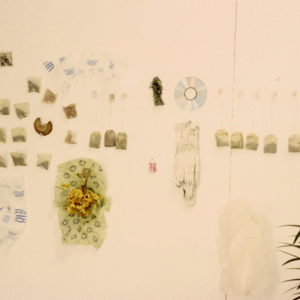 Process - Photograph, 1996, MacDowell Colony, photo slide 10