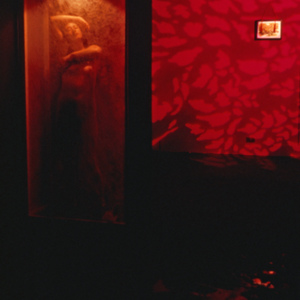 https://lynnbook.s3.amazonaws.com/flat_media/PhyVis_1990_Chgo_OrgTheater_photoslide32.jpg