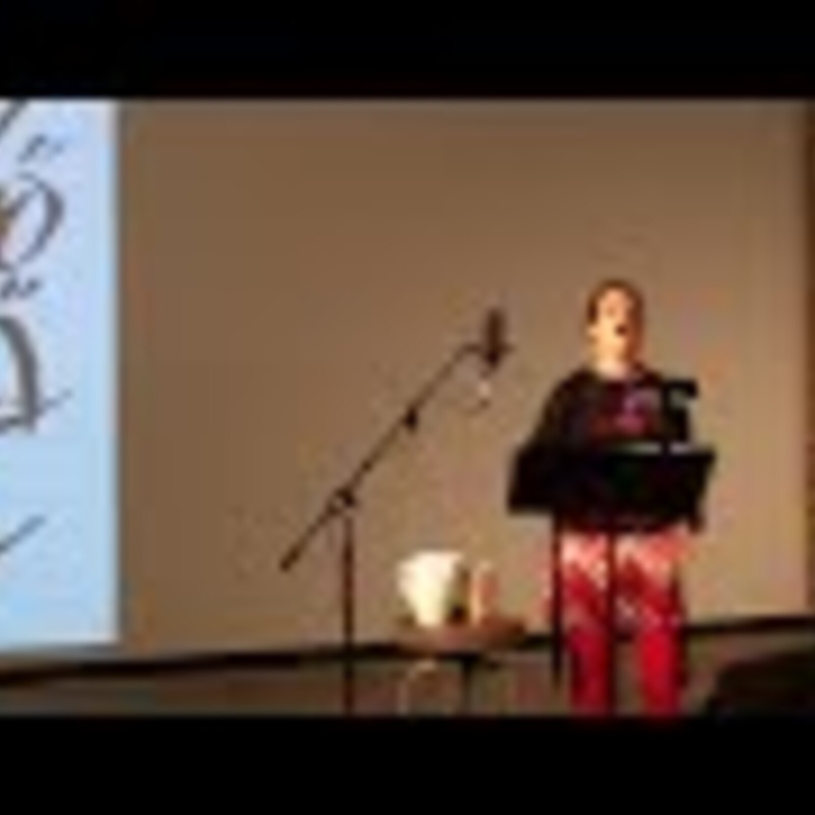 Ursonate, 2013, Winston Salem, Hanes Gallery, concert performance, project video documentation