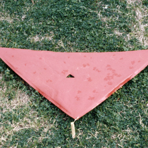 https://lynnbook.s3.amazonaws.com/flat_media/EarlyWorks_Sculpture_LBColorTriangleTheories_photoslide06.jpg