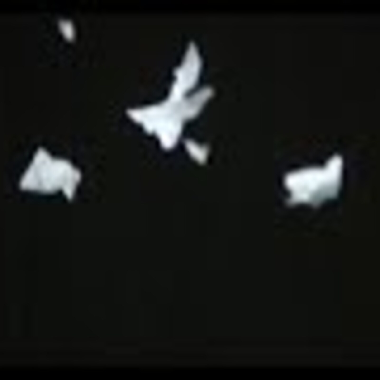 Because it's Round?, 1986, Chicago, MoMing Performing Arts Center, film for performance