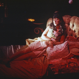 Gorgeous Fever, 1994, Chicago, Randolph Street Gallery, multimedia performance, photo slide 03