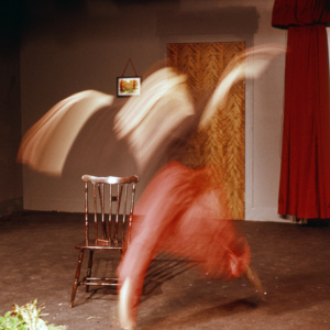 https://lynnbook.s3.amazonaws.com/flat_media/PhyVis_1990_Chgo_OrgTheater_photoslide40.jpg