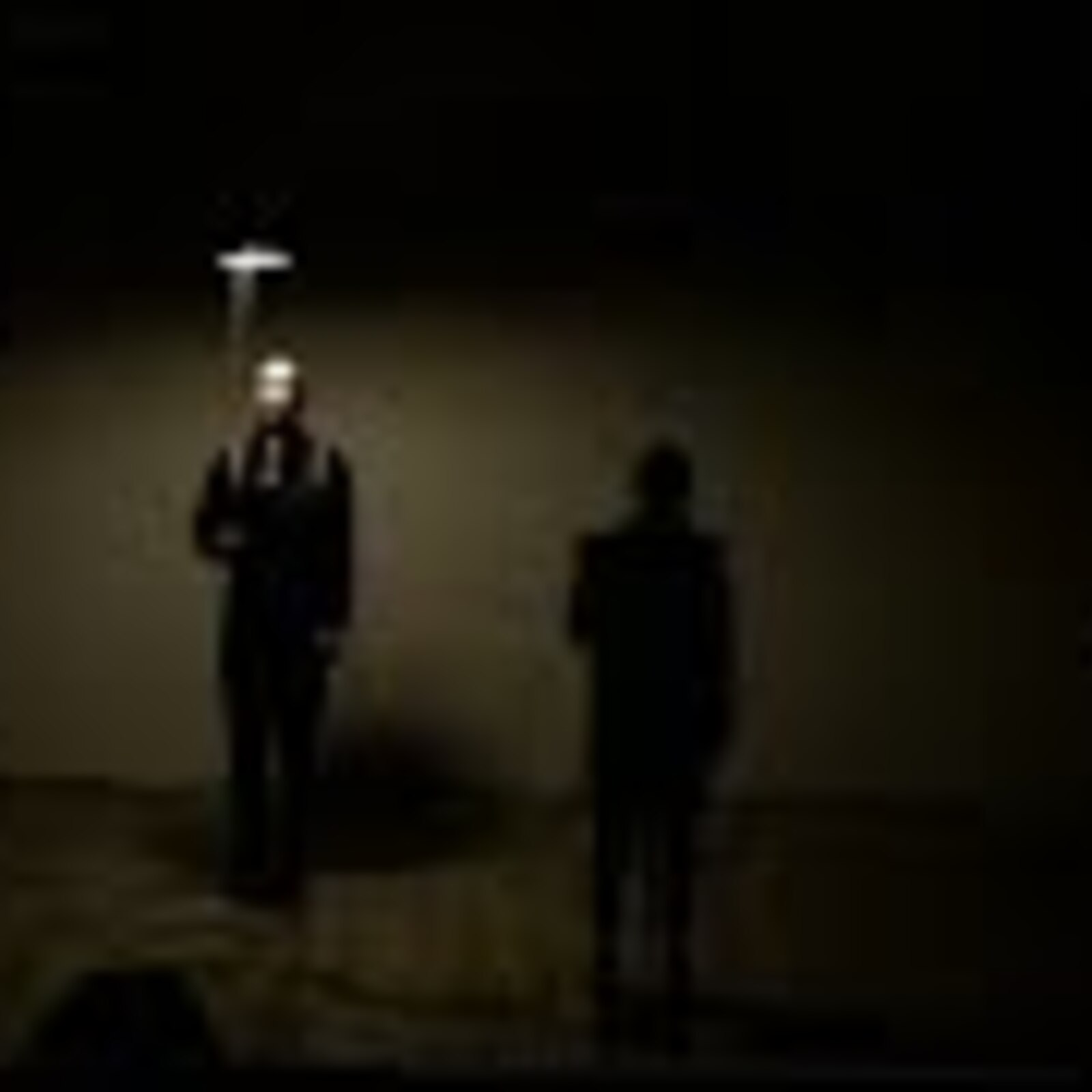 Mercuria, 1995. Chicago, N.A.M.E., project video documentation