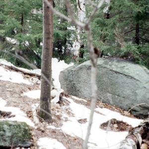 https://lynnbook.s3.amazonaws.com/flat_media/Process_MacDowellColony_photoslide20.jpg