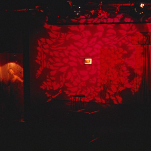 https://lynnbook.s3.amazonaws.com/flat_media/PhyVis_1990_Chgo_OrgTheater_photoslide31.jpg