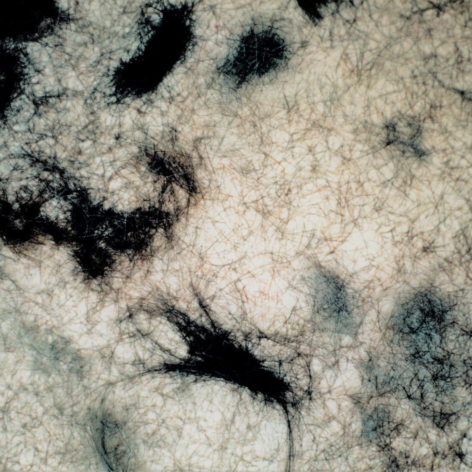 Hairpiece, 1980, Memphis, Memphis College of Art, exhibition installation, drawing 06