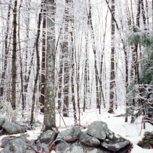 https://lynnbook.s3.amazonaws.com/flat_media/Process_MacDowellColony_photoslide17.jpg