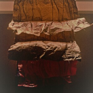 https://lynnbook.s3.amazonaws.com/flat_media/EarlyWorks_Sculpture_WiredSkins_photoslide02.jpg