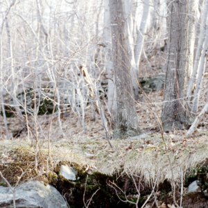 https://lynnbook.s3.amazonaws.com/flat_media/Process_MacDowellColony_photoslide18.jpg