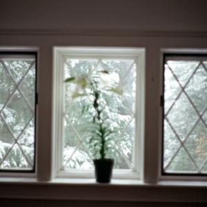 https://lynnbook.s3.amazonaws.com/flat_media/Process_MacDowellColony_photoslide15.jpg