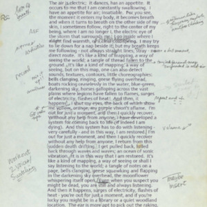 Gorgeous Fever, 1994, Chicago, Randolph Street Gallery, multimedia performance, performance text