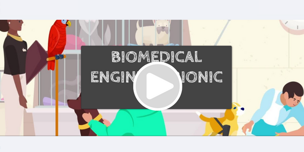 biomedical biomedical