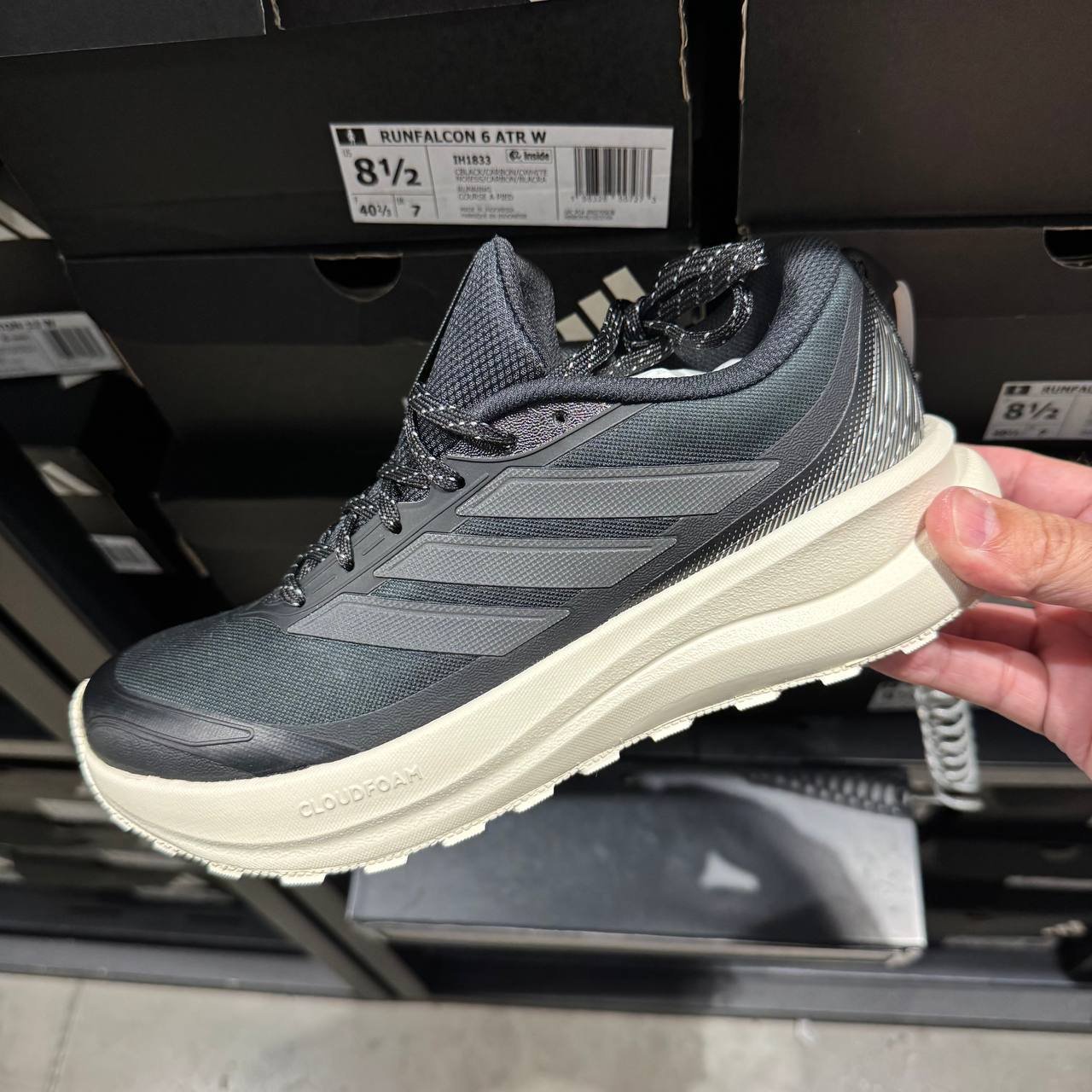 RUNFALCON 6
