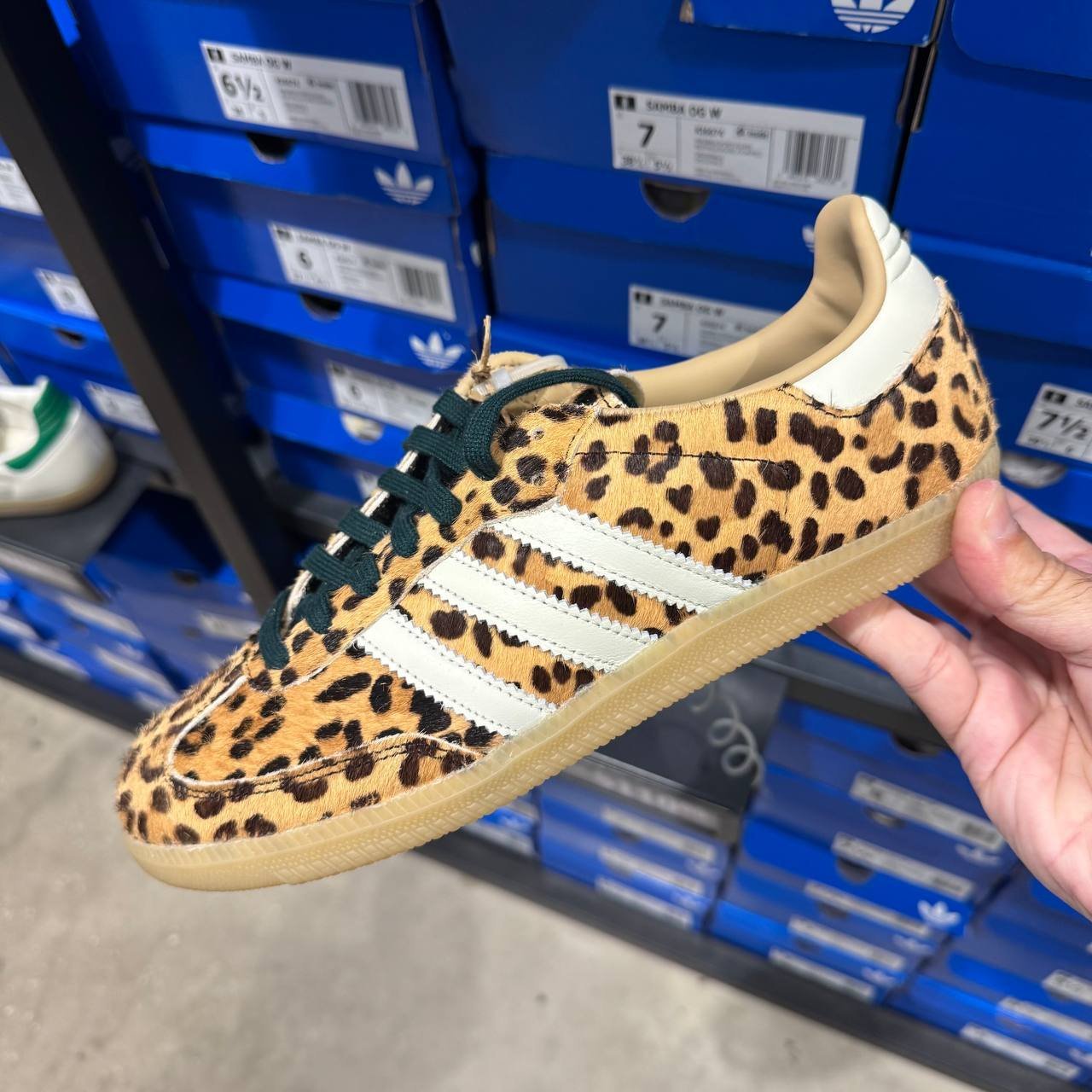 SAMBA OG