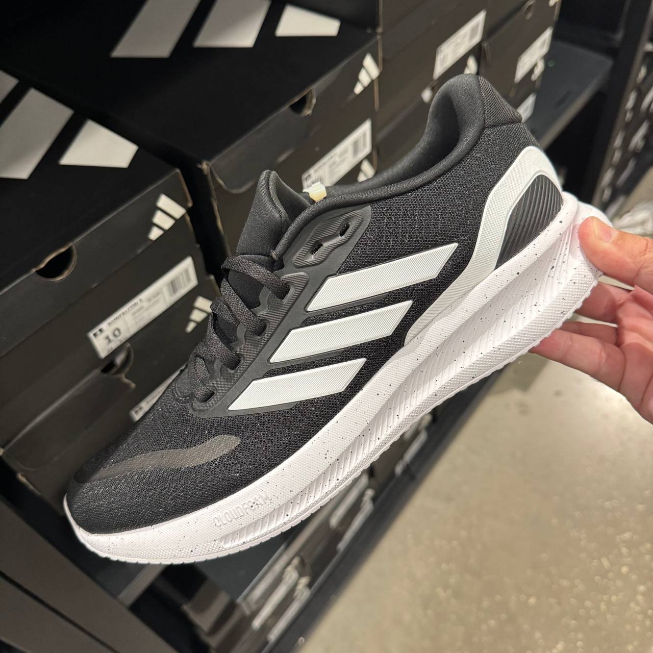 RUNFALCON