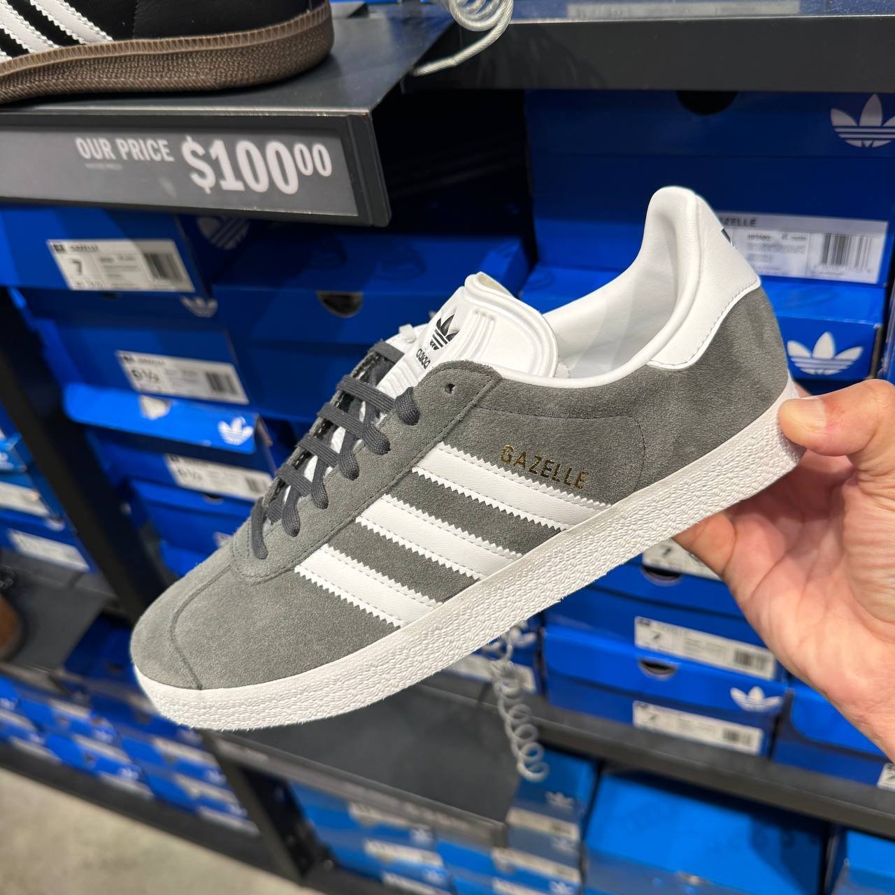 GAZELLE