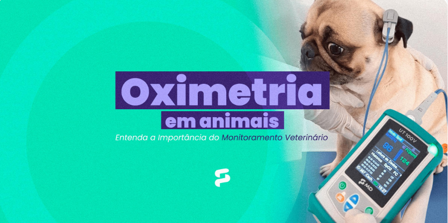 Oximetria em Animais: Entenda a Importância do Monitoramento Veterinário