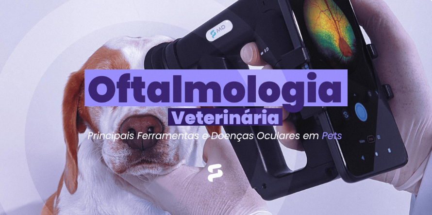 Oftalmologia Veterinária: Principais Ferramentas e Doenças Oculares em