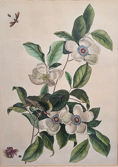 McHugh’s Fine Curated Antique Auction from Virginia Estates