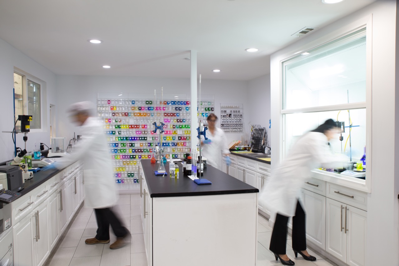 1373_Lab_in_motion.jpg