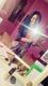 mmystasia
