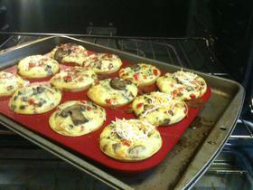 Egg Muffins