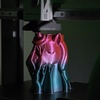 Vadym Nazarko - 3D printer in Hamilton, Scotland Ml3 0hz
