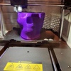 Faun Richardson - 3D printer in Park City, Ks 67147