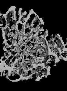 thing image