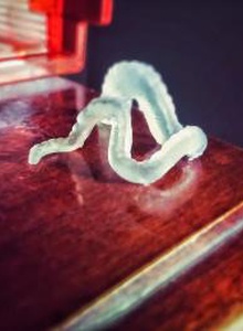 thing image