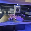 Coralprints Prints - 3D printer in Sioux Falls, Sd 57106