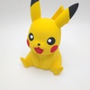 Marc Schattorie - 3D printer in Roermond, Li 6041 Hc
