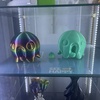 Travis Hansen - 3D printer in Lyons, Or 97358