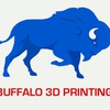 Buffalo 3d Printing  Paul - 3D printer in Buffalo, Ny