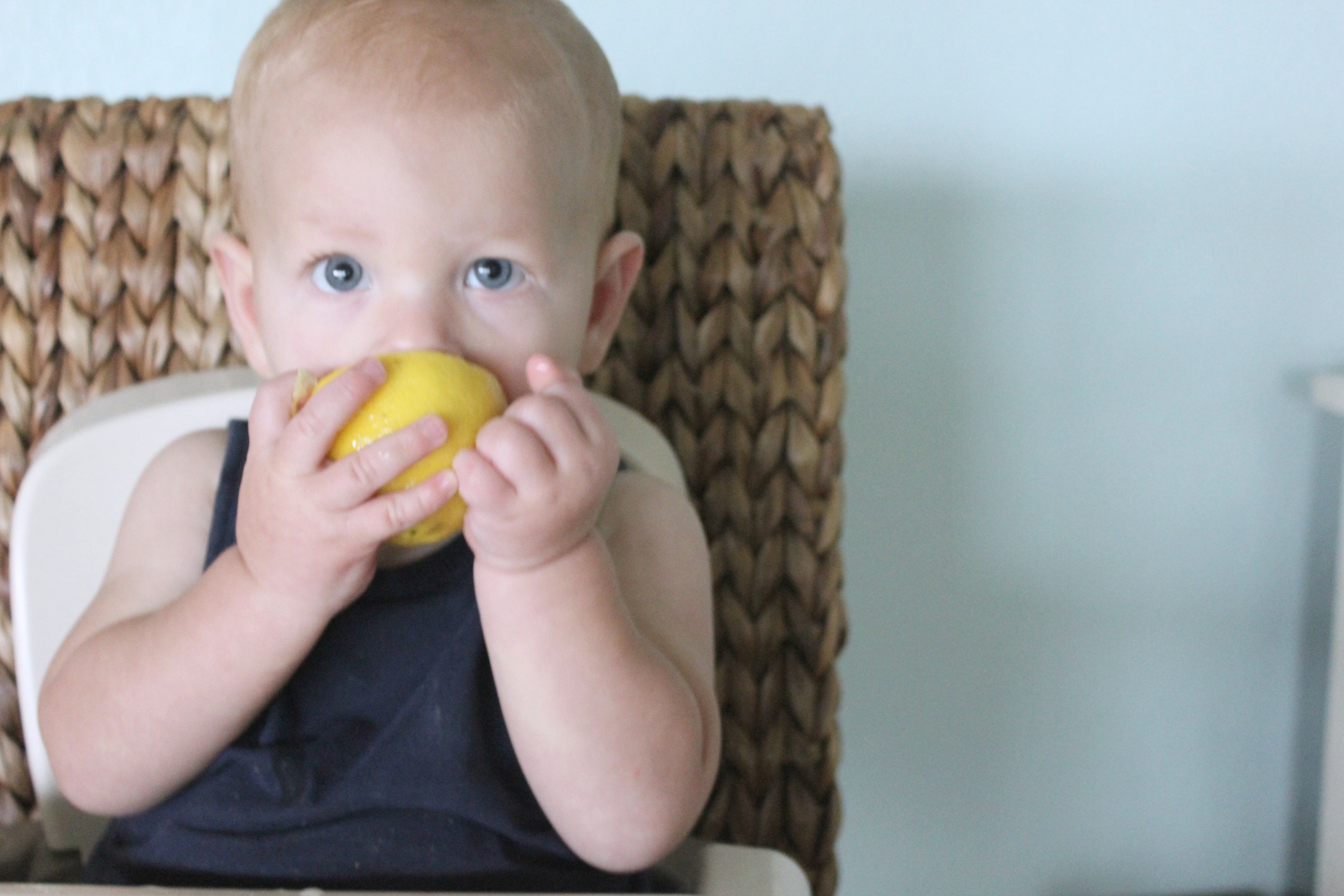 Picky eater food list picture