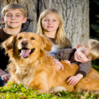 Control de esfínteres: cuándo comenzarlo