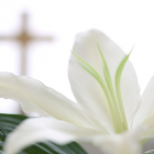 El uso de repelentes para insectos