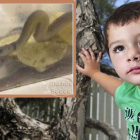 Mi aventura «porotesca»: Introducción