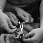 Las molestas náuseas matutinas