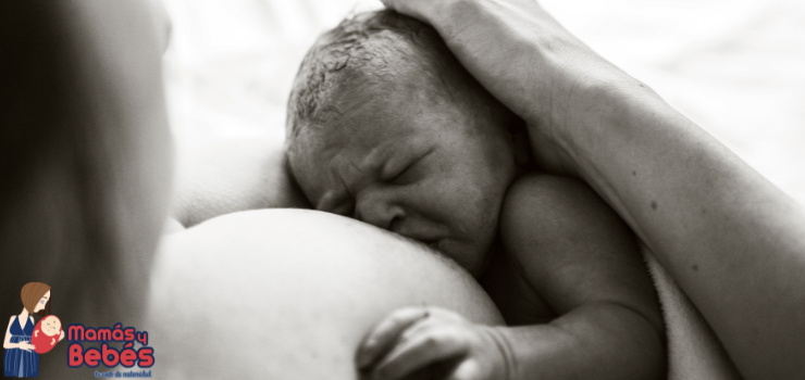 Mitos y verdades sobre la lactancia materna